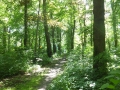 DSCF5396