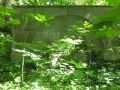 DSCF5399
