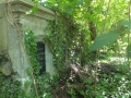 DSCF5405