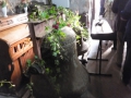 DSCF2465